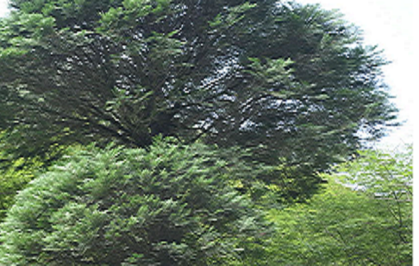 1744772471478595.png 13.png