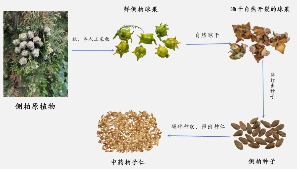 1744772530400772.png 2.png