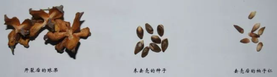 1744772544597451.png 3.png