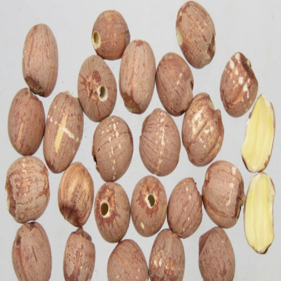 13.png
