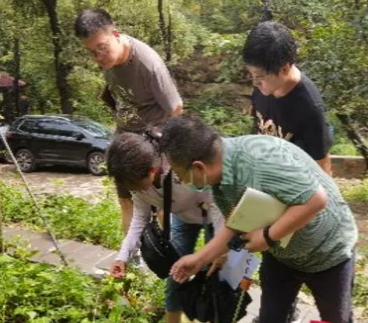 1758503235706048.png image.png